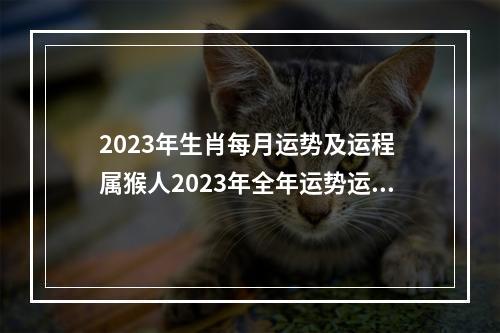 2023年生肖每月运势及运程 属猴人2023年全年运势运程