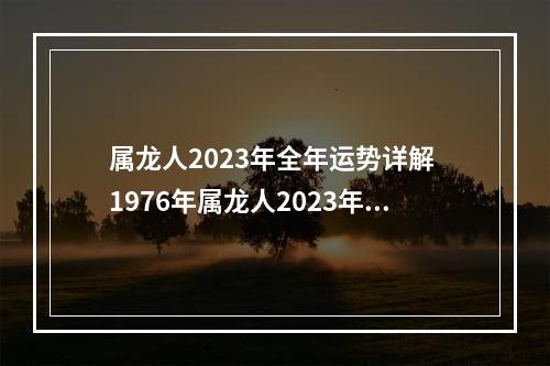 属龙人2023年全年运势详解 1976年属龙人2023年11月运势