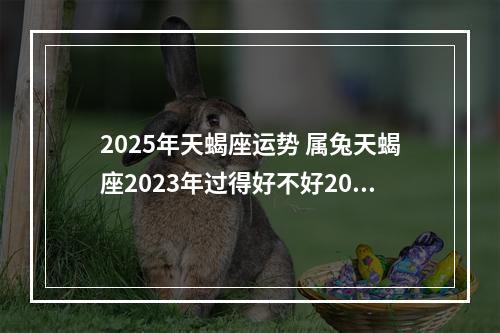 2025年天蝎座运势 属兔天蝎座2023年过得好不好2023年属兔天蝎座的全年运势