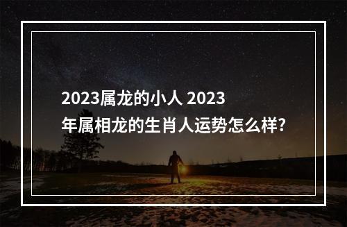2023属龙的小人 2023年属相龙的生肖人运势怎么样?