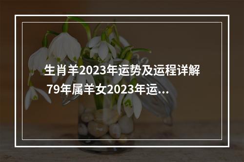 生肖羊2023年运势及运程详解 79年属羊女2023年运势及运程?