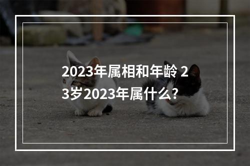 2023年属相和年龄 23岁2023年属什么?