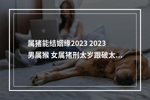 属猪能结姻缘2023 2023男属猴 女属猪刑太岁跟破太岁的谈恋爱能成功吗?