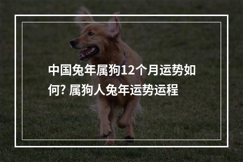 中国兔年属狗12个月运势如何? 属狗人兔年运势运程