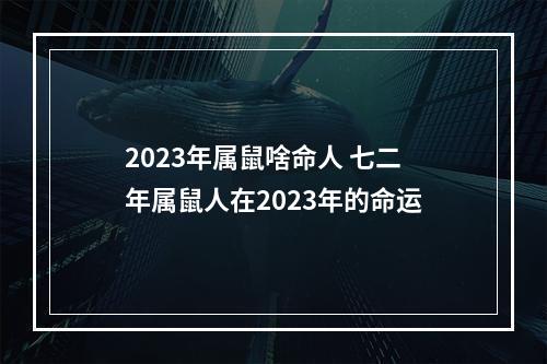 2023年属鼠啥命人 七二年属鼠人在2023年的命运