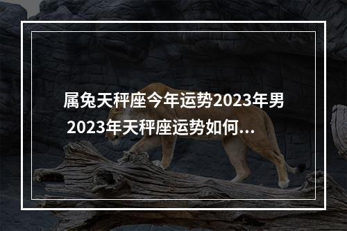 属兔天秤座今年运势2023年男 2023年天秤座运势如何?
