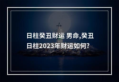 日柱癸丑财运 男命,癸丑日柱2023年财运如何?
