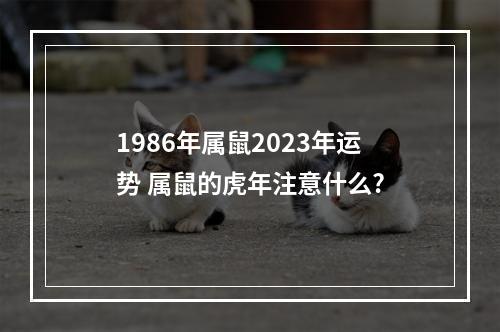 1986年属鼠2023年运势 属鼠的虎年注意什么?