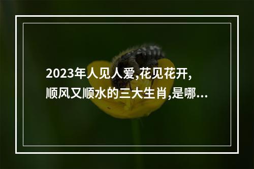 2023年人见人爱,花见花开,顺风又顺水的三大生肖,是哪三个? 属蛇人2023年的运势咋样呢