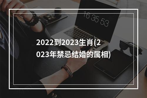 2022到2023生肖(2023年禁忌结婚的属相)