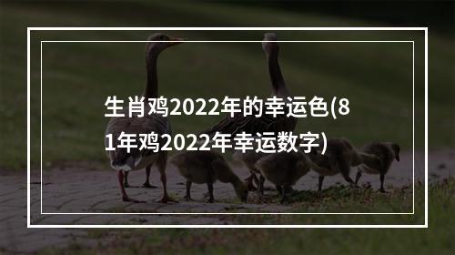 生肖鸡2022年的幸运色(81年鸡2022年幸运数字)
