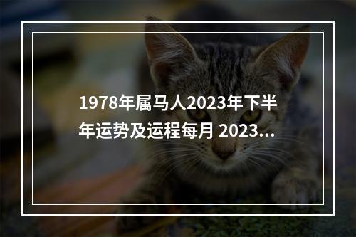 1978年属马人2023年下半年运势及运程每月 2023年腊月出生属虎的命好吗?