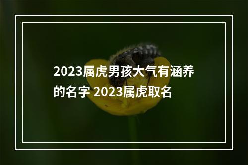 2023属虎男孩大气有涵养的名字 2023属虎取名