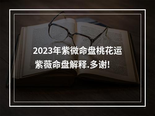 2023年紫微命盘桃花运 紫薇命盘解释.多谢!