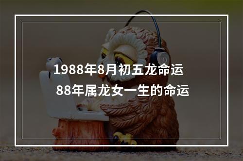 1988年8月初五龙命运 88年属龙女一生的命运