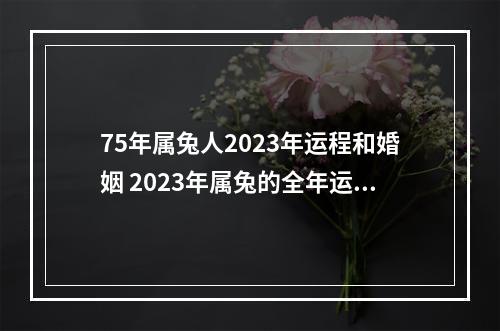 75年属兔人2023年运程和婚姻 2023年属兔的全年运势怎么样