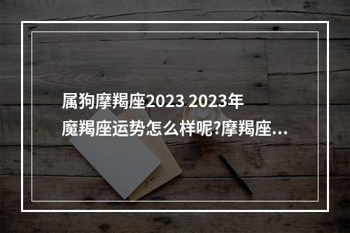 属狗摩羯座2023 2023年魔羯座运势怎么样呢?摩羯座适合从事什么类型的行业呢?