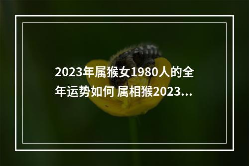 2023年属猴女1980人的全年运势如何 属相猴2023年运程