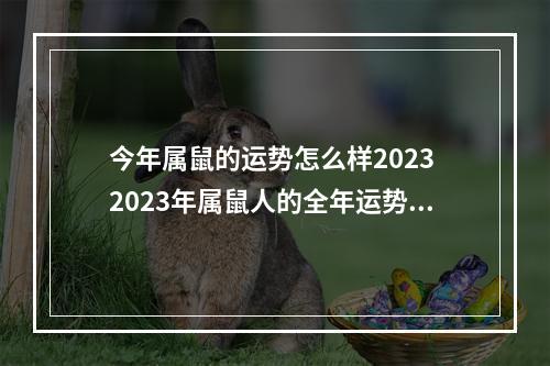 今年属鼠的运势怎么样2023 2023年属鼠人的全年运势?