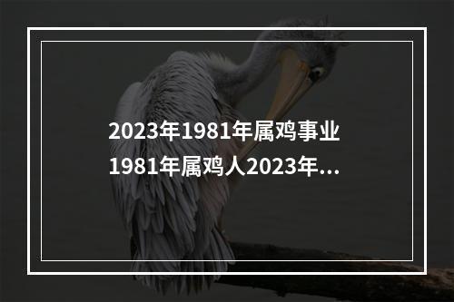 2023年1981年属鸡事业 1981年属鸡人2023年运势?