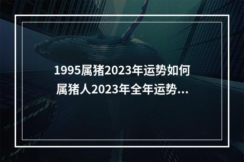 1995属猪2023年运势如何 属猪人2023年全年运势及运程