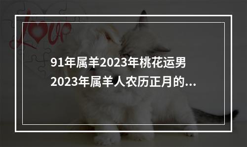 91年属羊2023年桃花运男 2023年属羊人农历正月的感情运会离婚吗?