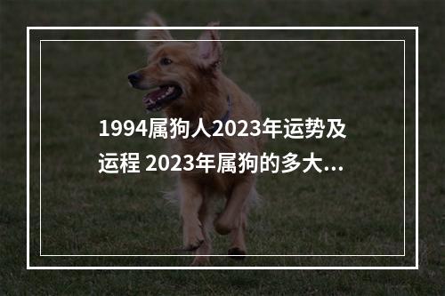 1994属狗人2023年运势及运程 2023年属狗的多大了?属狗人2023年事业运势如何呢?