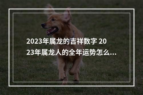 2023年属龙的吉祥数字 2023年属龙人的全年运势怎么样?
