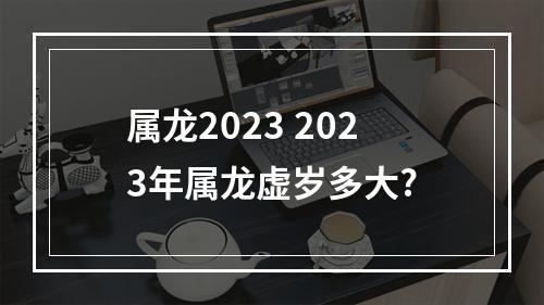 属龙2023 2023年属龙虚岁多大?