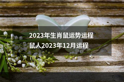 2023年生肖鼠运势运程 鼠人2023年12月运程
