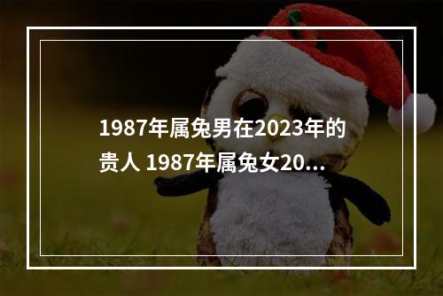 1987年属兔男在2023年的贵人 1987年属兔女2023年全年运势怎么样?