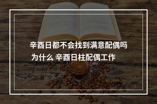 辛酉日都不会找到满意配偶吗 为什么 辛酉日柱配偶工作