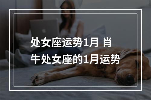 处女座运势1月 肖牛处女座的1月运势