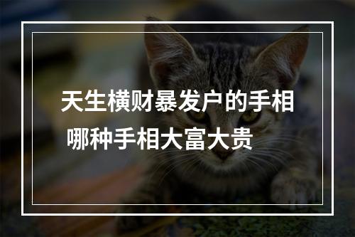 天生横财暴发户的手相 哪种手相大富大贵