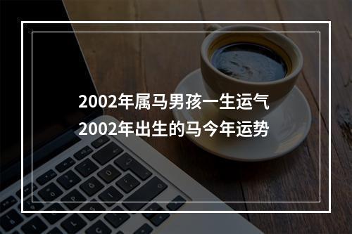 2002年属马男孩一生运气 2002年出生的马今年运势