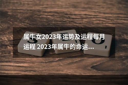 属牛女2023年运势及运程每月运程 2023年属牛的命运和财运