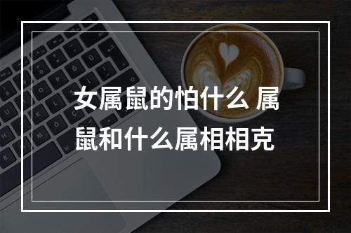 女属鼠的怕什么 属鼠和什么属相相克