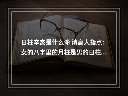 日柱辛亥是什么命 请高人指点:女的八字里的月柱是男的日柱,代表什么?女的月柱:辛卯,日柱...