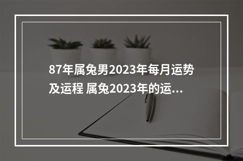 87年属兔男2023年每月运势及运程 属兔2023年的运势?