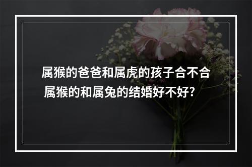 属猴的爸爸和属虎的孩子合不合 属猴的和属兔的结婚好不好?
