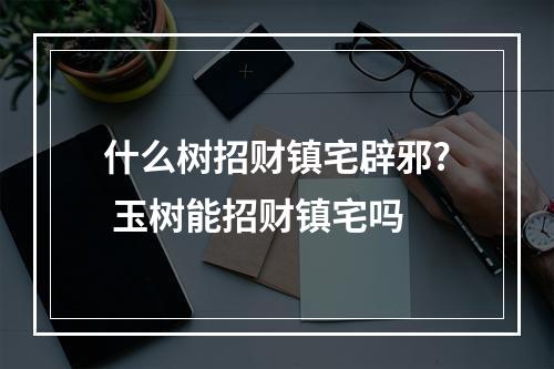什么树招财镇宅辟邪? 玉树能招财镇宅吗