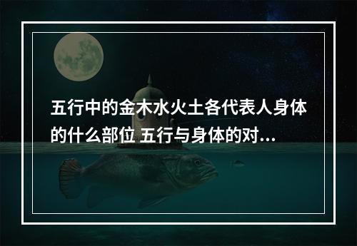 五行中的金木水火土各代表人身体的什么部位 五行与身体的对应关系