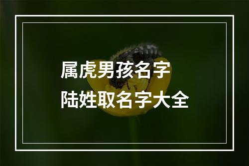 属虎男孩名字 陆姓取名字大全