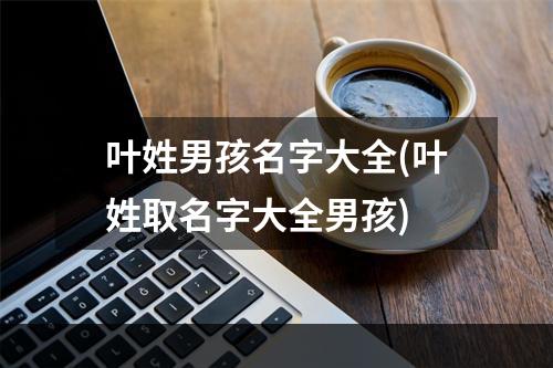 叶姓男孩名字大全(叶姓取名字大全男孩)