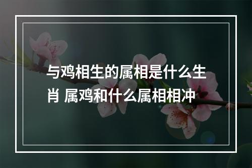 与鸡相生的属相是什么生肖 属鸡和什么属相相冲