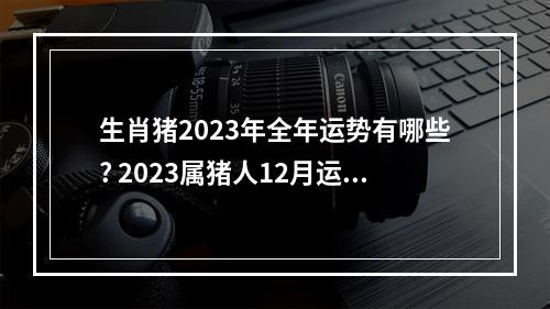 生肖猪2023年全年运势有哪些? 2023属猪人12月运势