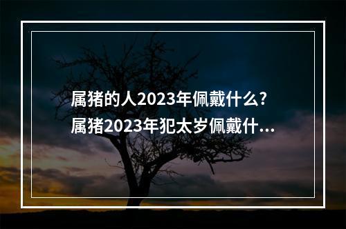 属猪的人2023年佩戴什么? 属猪2023年犯太岁佩戴什么饰品