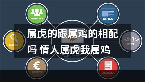 属虎的跟属鸡的相配吗 情人属虎我属鸡