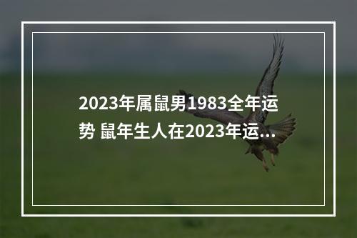 2023年属鼠男1983全年运势 鼠年生人在2023年运势如何