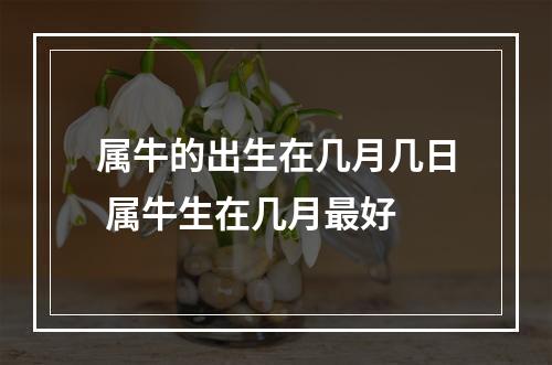 属牛的出生在几月几日 属牛生在几月最好
